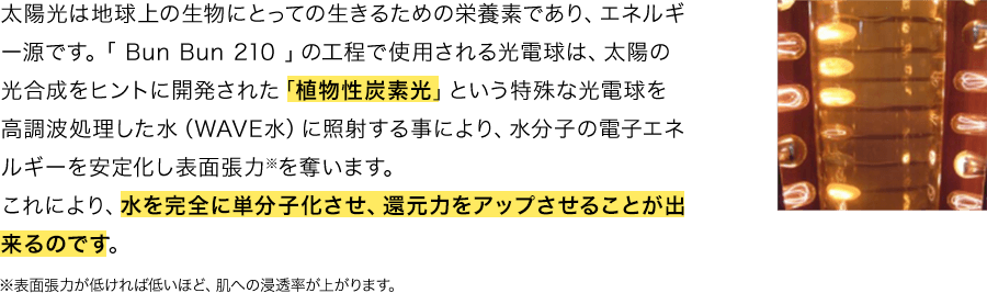 太陽光は地球上の生物にとっての生きるための栄養素であり、エネルギー源です。「 Bun Bun 210 」の工程で使用される光電球は、太陽の光合成をヒントに開発された「植物性炭素光」という特殊な光電球を高調波処理した水（WAVE水）に照射する事により、水分子の電子エネルギーを安定化し表面張力※を奪います。これにより、水を完全に単分子化させ、還元力をアップさせることが出来るのです。